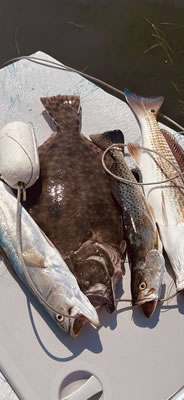 Slay the Bay Fishing Photo Gallery