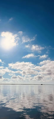 Slay the Bay Fishing Photo Gallery