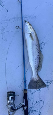 Slay the Bay Fishing Photo Gallery