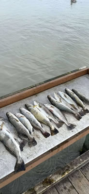 Slay the Bay Fishing Photo Gallery